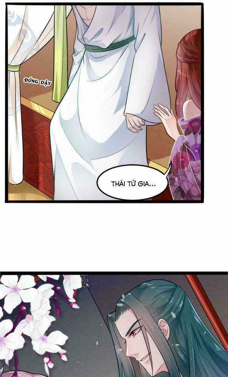 Đế Vương Sợ Vương Phi Muốn Sở Hữu Thiên Hạ Chapter 7 trang 12