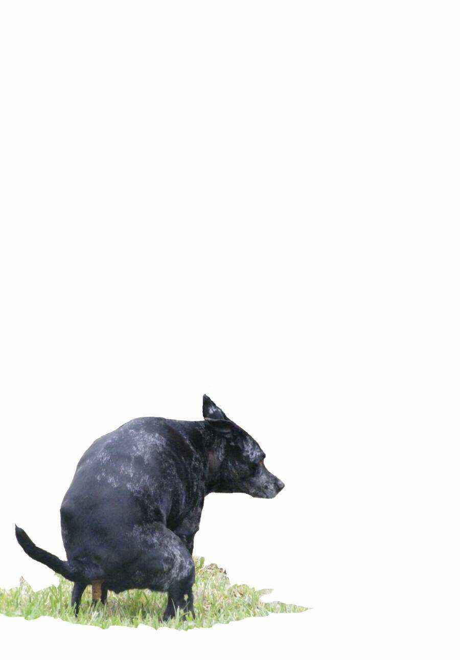 Dead Account Chapter 28 trang 20