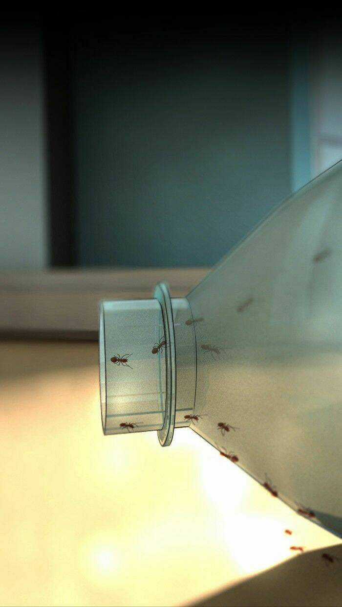 Dead Days Chapter 4 trang 13