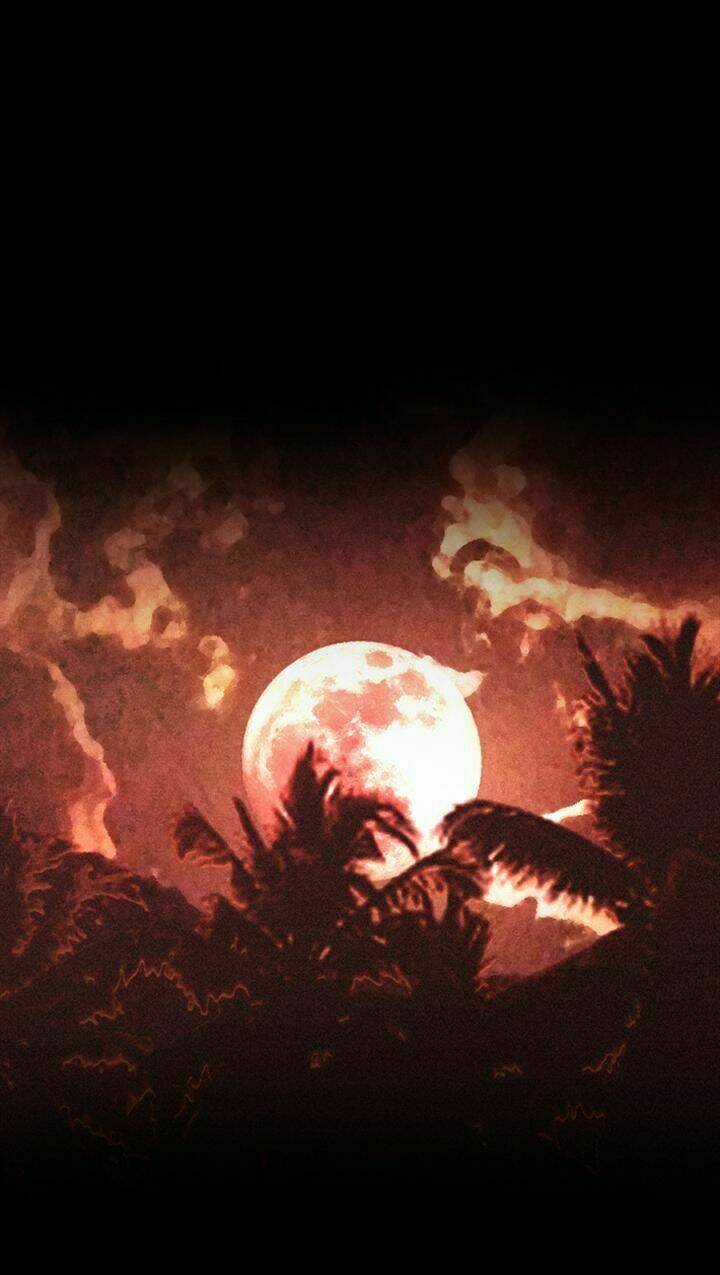 Dead Days Chapter 53 trang 30