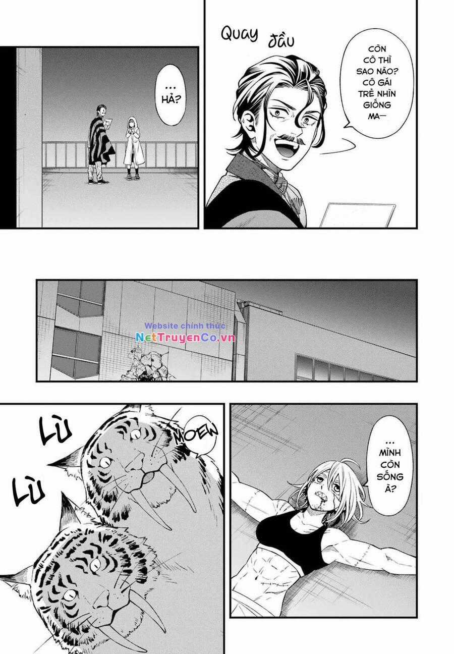 Dead Mount Death Play Chapter 81 trang 19