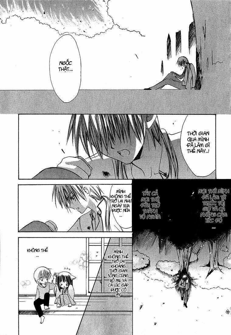 Dear Chapter 8 trang 13