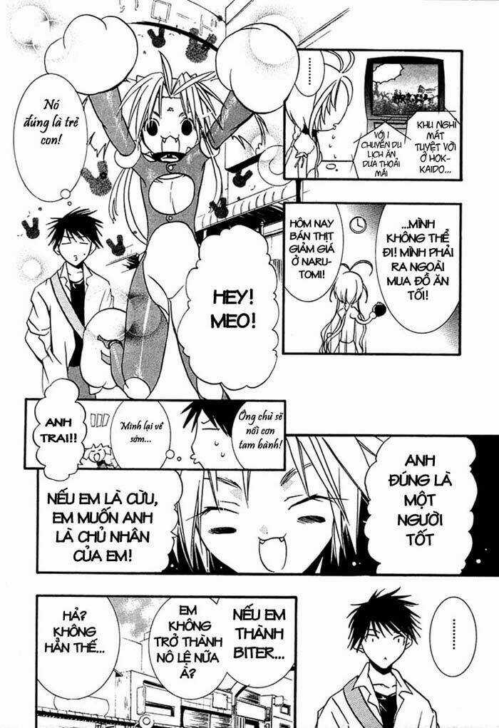 DearS Chapter 19 trang 24