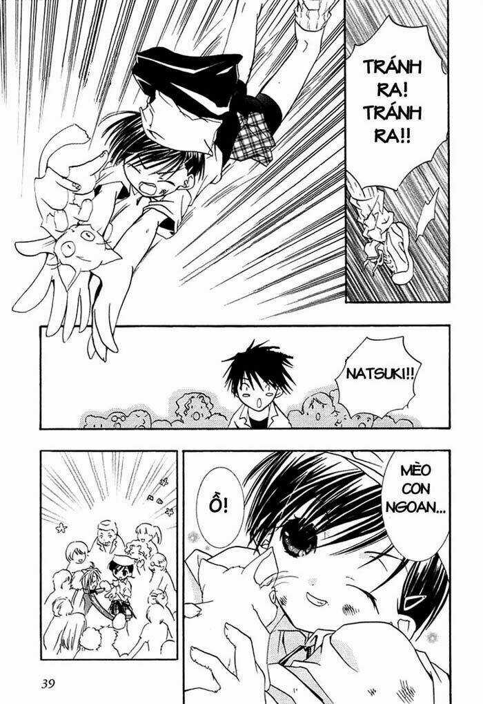 DearS Chapter 19 trang 34