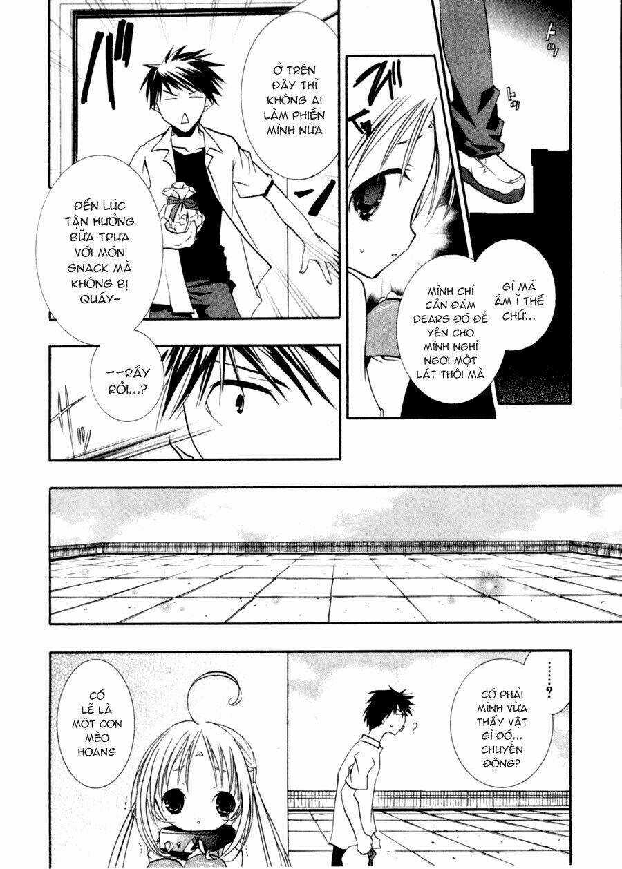 DearS Chapter 32 trang 13