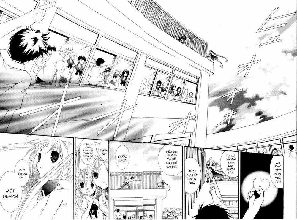 DearS Chapter 32 trang 24