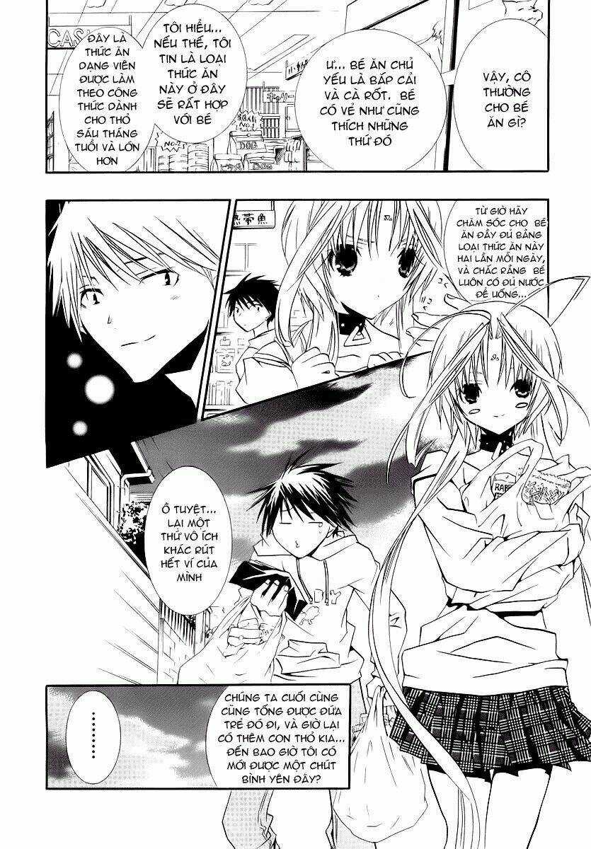 DearS Chapter 38 trang 12