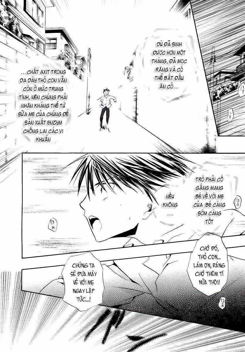 DearS Chapter 38 trang 24