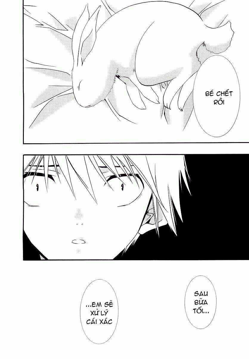 DearS Chapter 38 trang 26