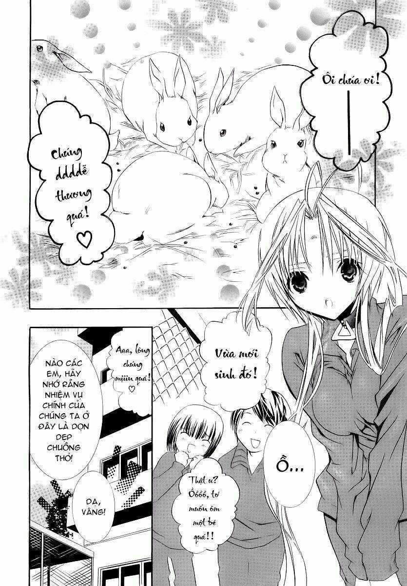 DearS Chapter 38 trang 4