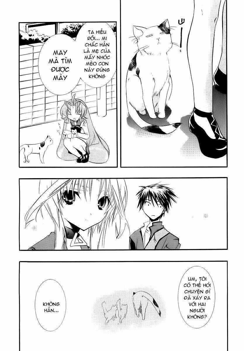 DearS Chapter 39 trang 8