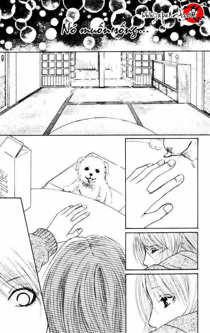 Deep Love - Ayu No Monogatari Chapter 1 trang 47