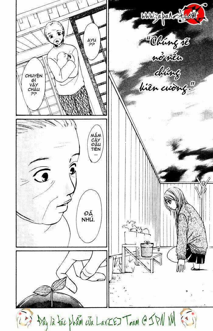 Deep Love - Ayu No Monogatari Chapter 1 trang 50