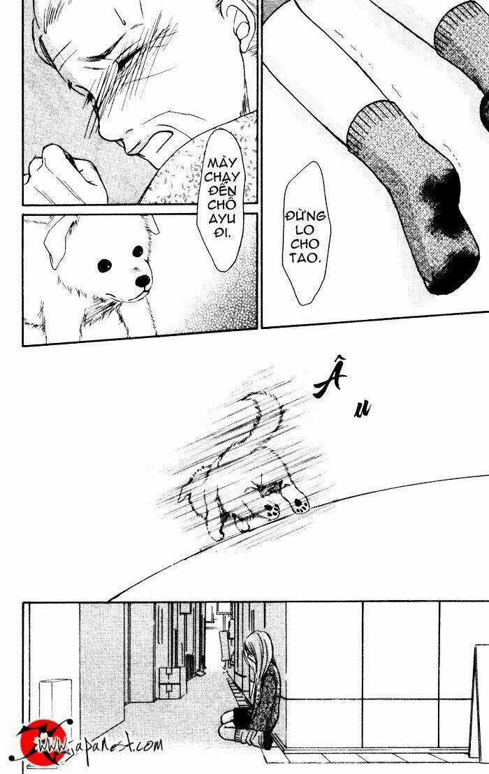 Deep Love - Ayu No Monogatari Chapter 3 trang 14