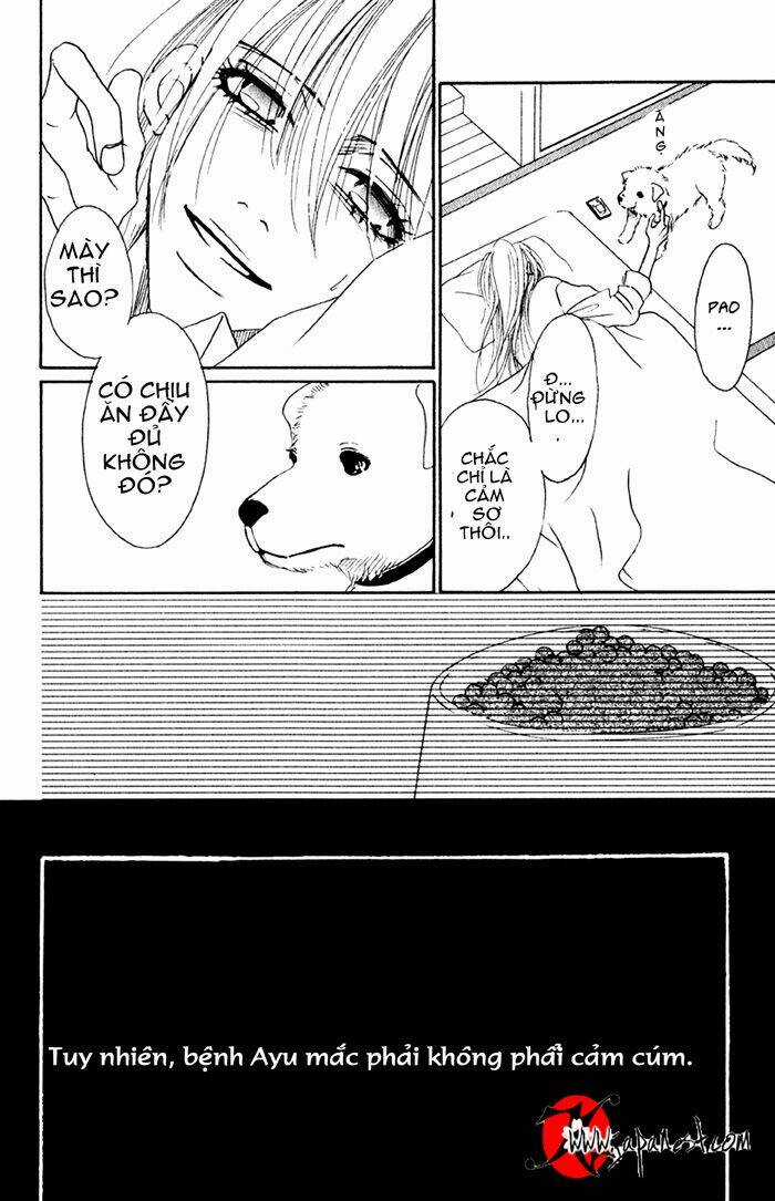 Deep Love - Ayu No Monogatari Chapter 8 trang 2