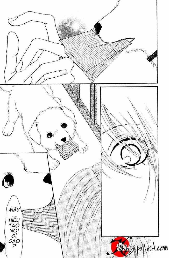 Deep Love - Ayu No Monogatari Chapter 8 trang 9