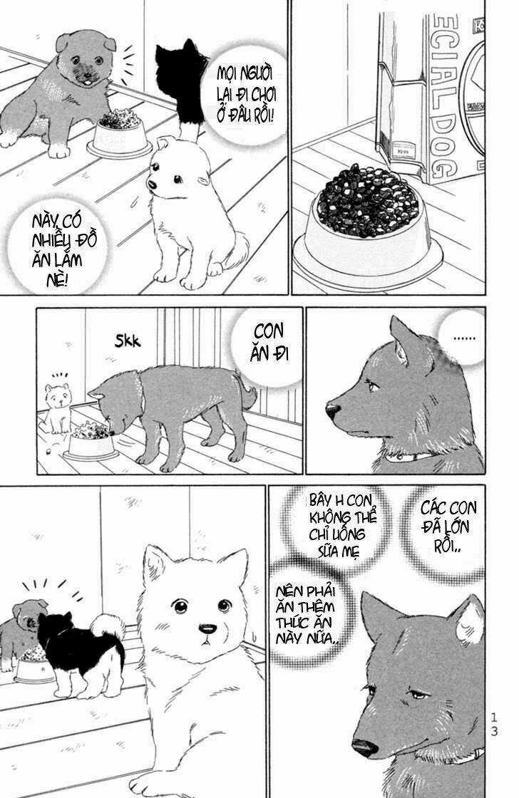 Deep Love - Pao no Monogatari Chapter 1 trang 15