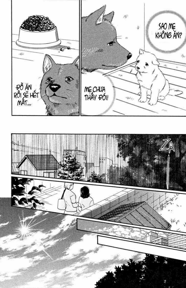 Deep Love - Pao no Monogatari Chapter 1 trang 16