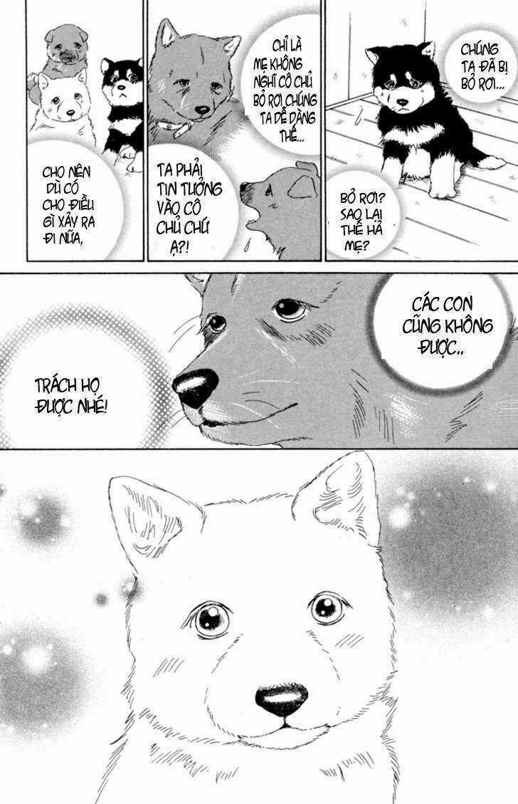 Deep Love - Pao no Monogatari Chapter 1 trang 18