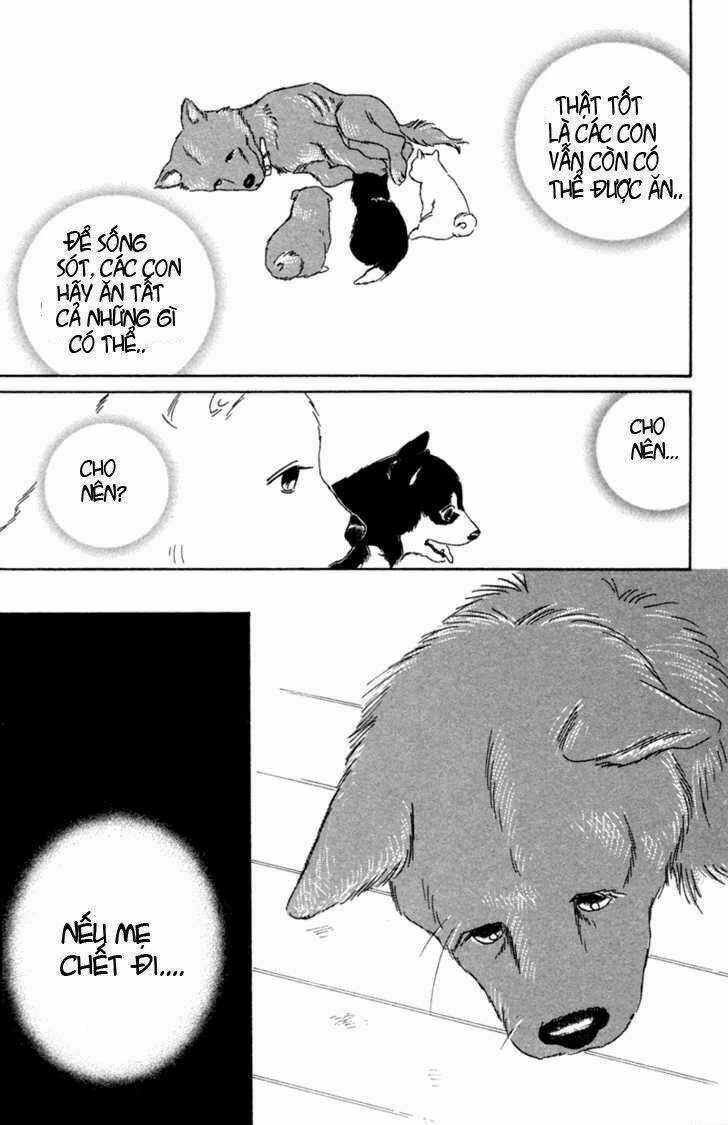 Deep Love - Pao no Monogatari Chapter 1 trang 19