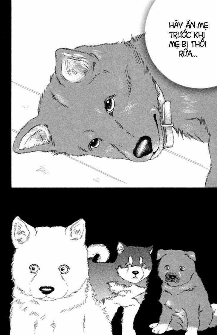 Deep Love - Pao no Monogatari Chapter 1 trang 20