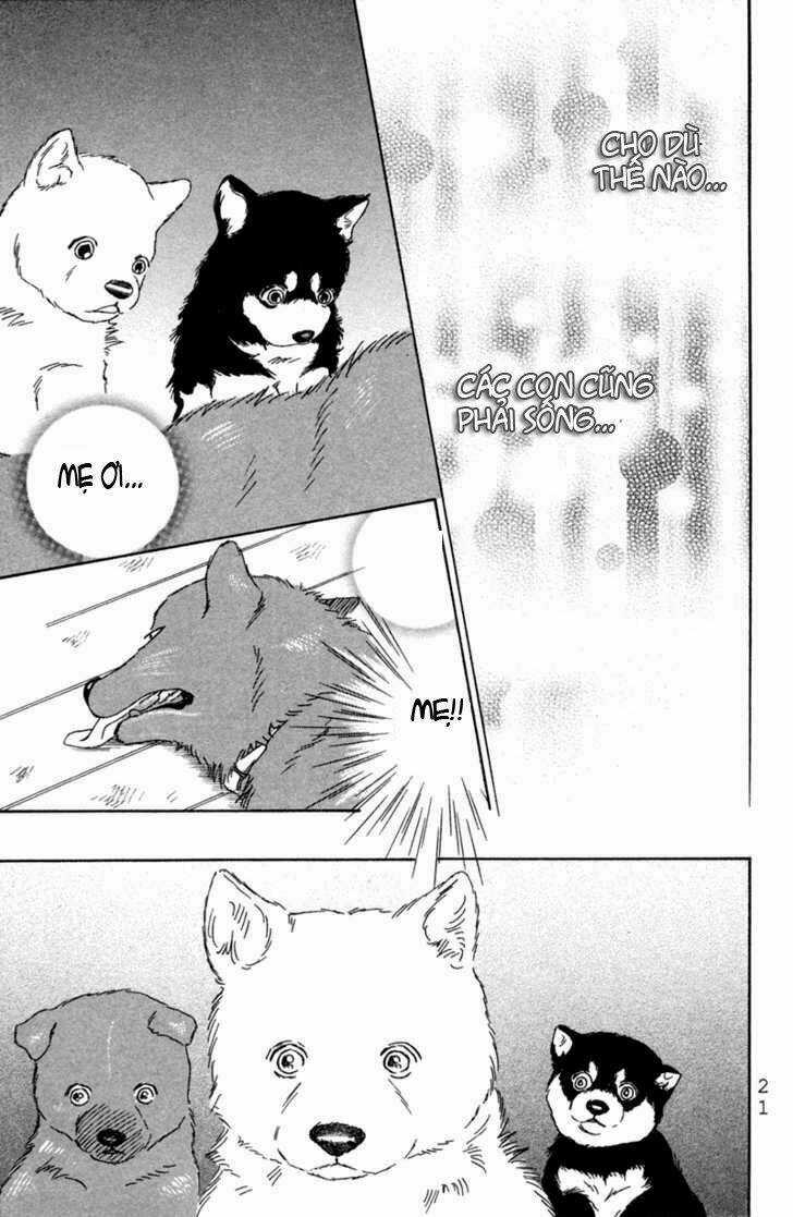 Deep Love - Pao no Monogatari Chapter 1 trang 23