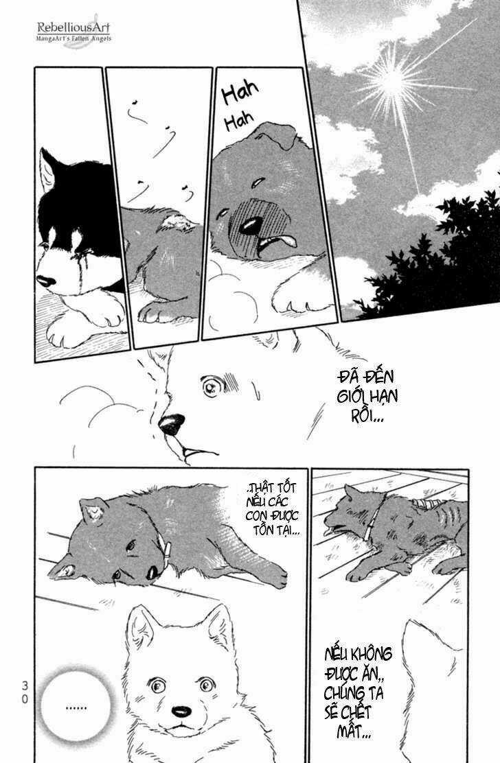 Deep Love - Pao no Monogatari Chapter 1 trang 32