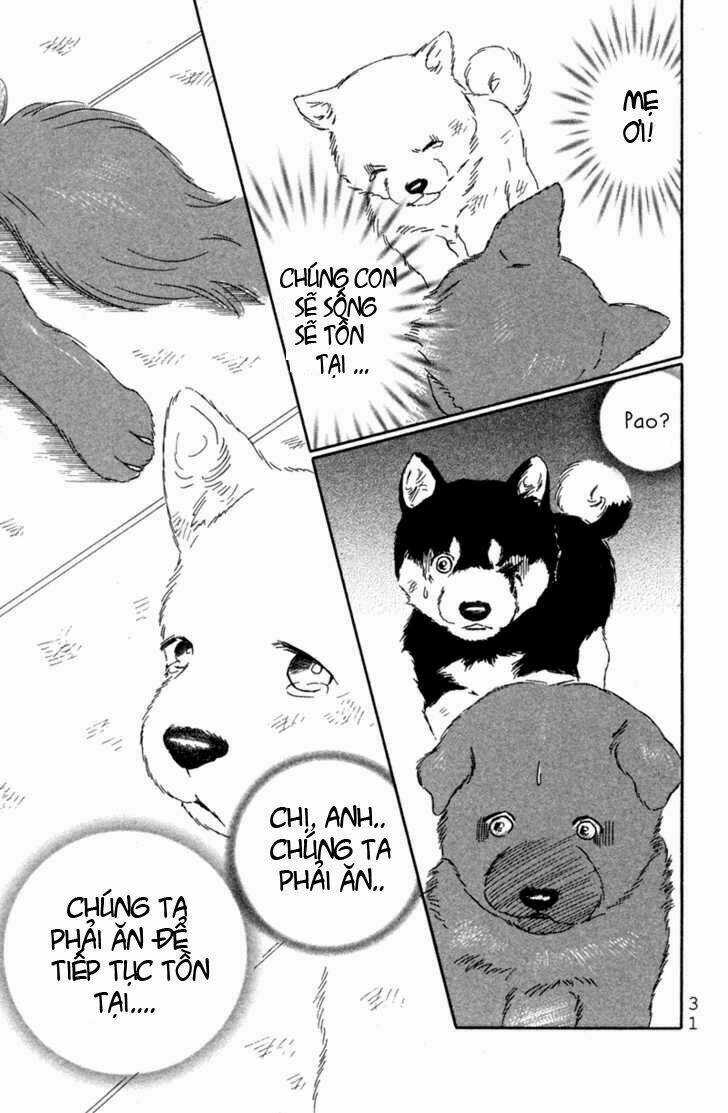 Deep Love - Pao no Monogatari Chapter 1 trang 33