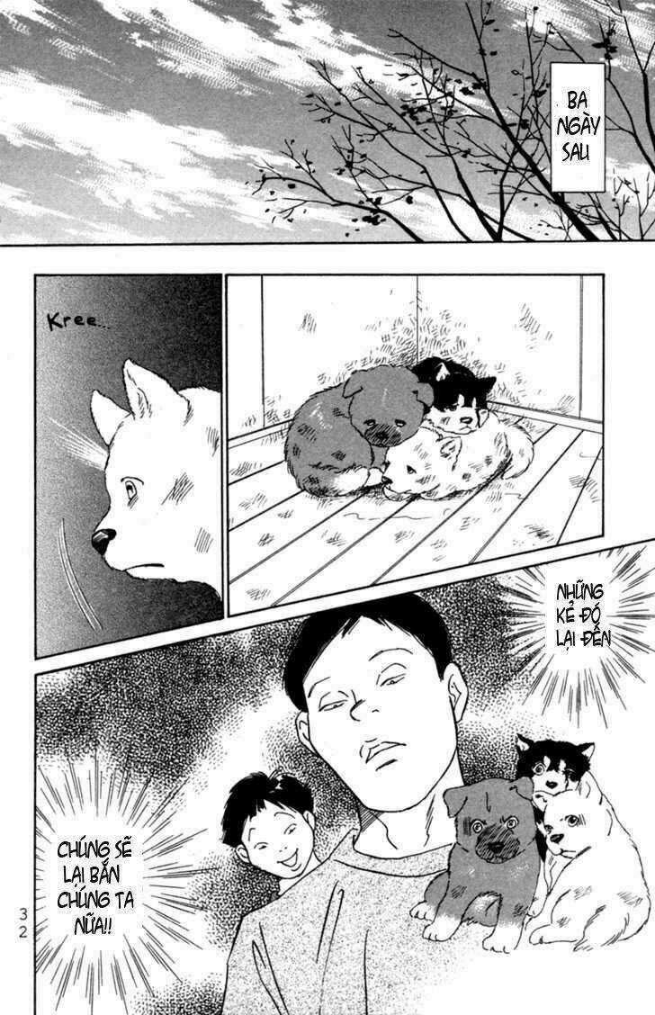 Deep Love - Pao no Monogatari Chapter 1 trang 34