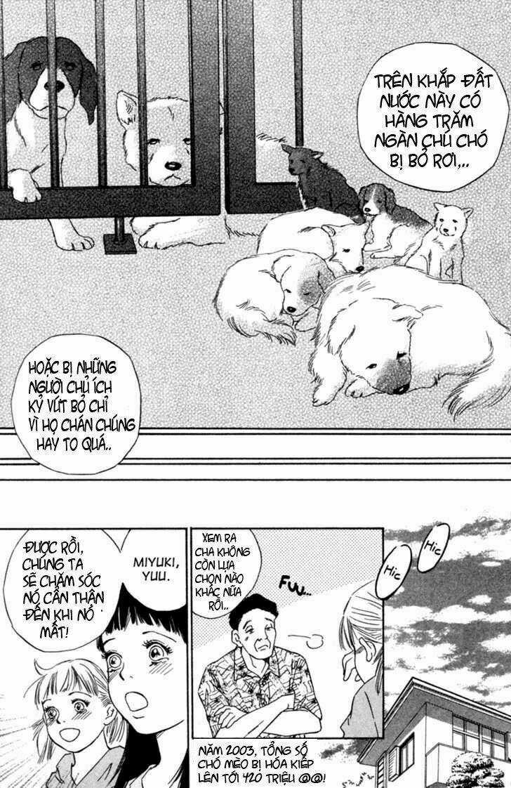 Deep Love - Pao no Monogatari Chapter 1 trang 9