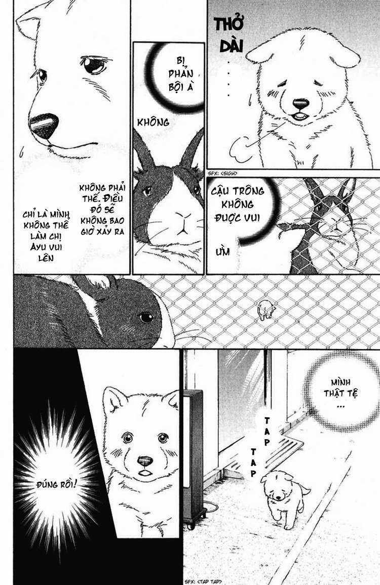 Deep Love - Pao no Monogatari Chapter 10 trang 5