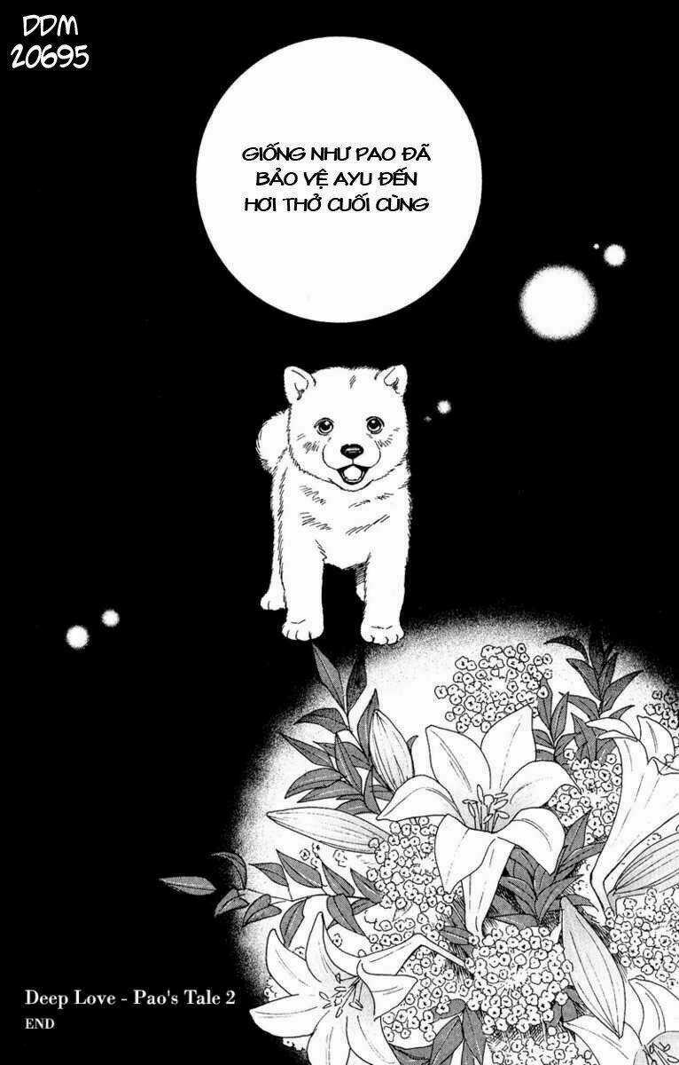 Deep Love - Pao no Monogatari Chapter 11 trang 36
