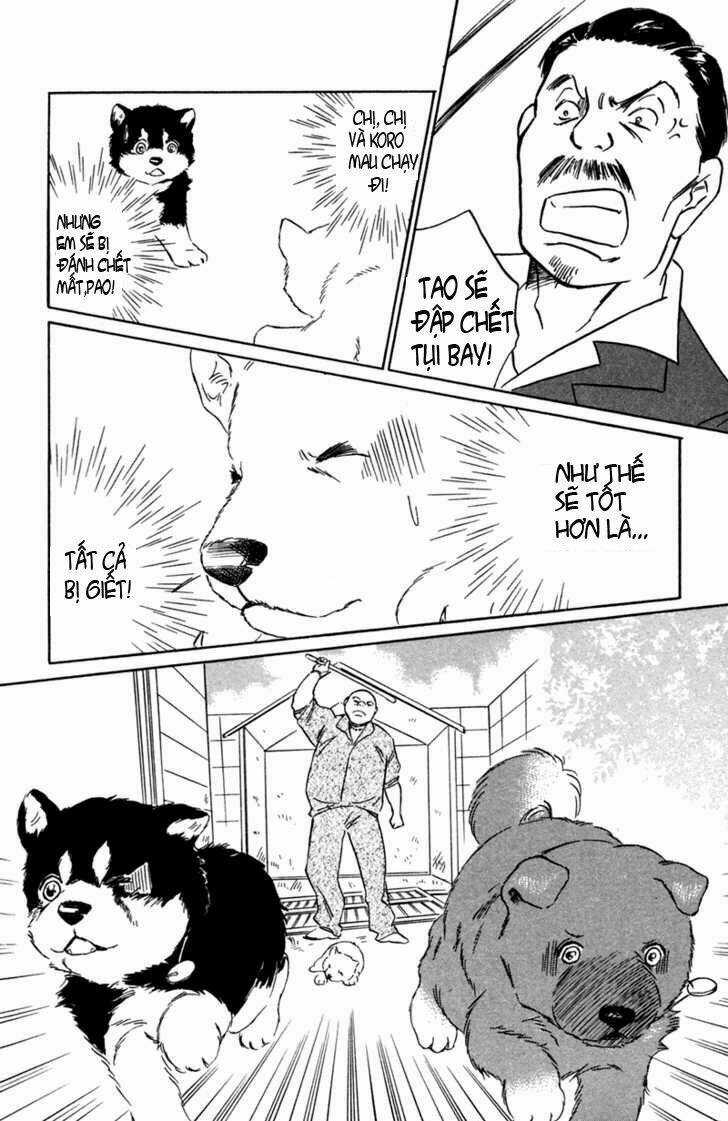 Deep Love - Pao no Monogatari Chapter 2 trang 13