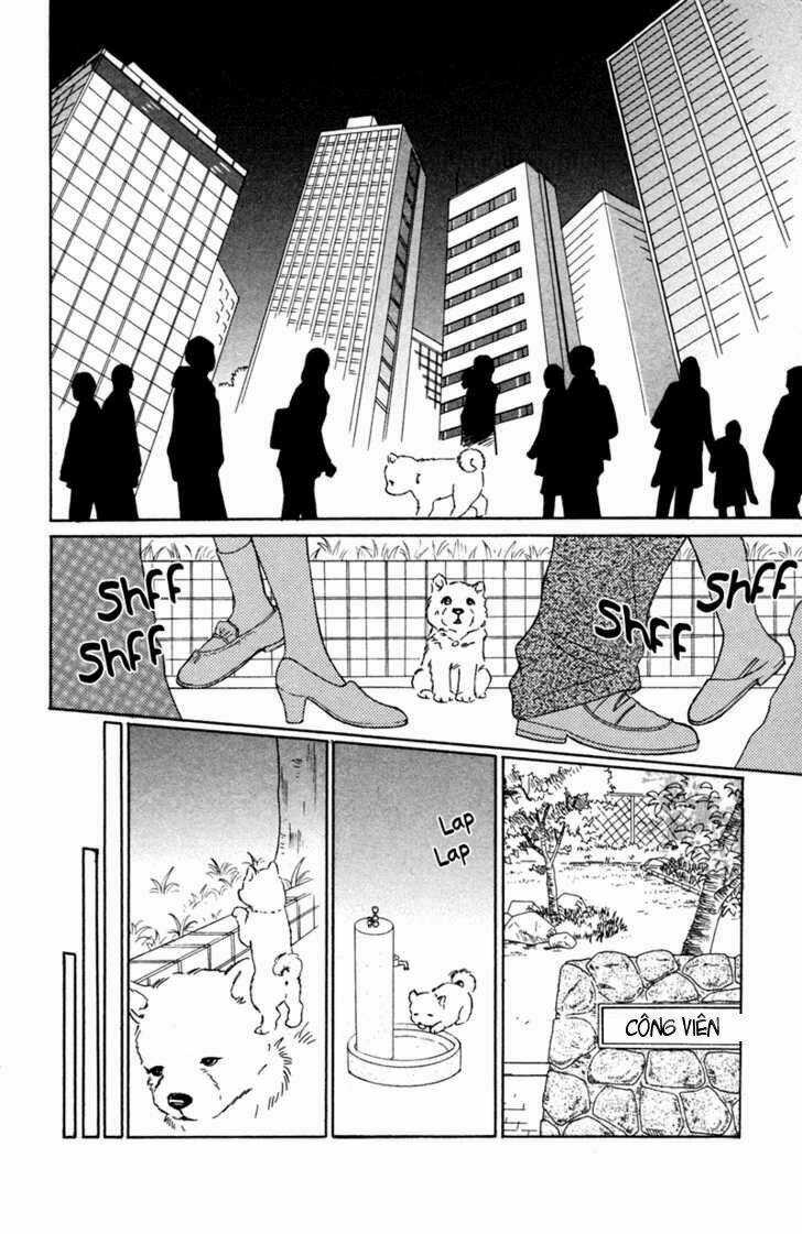 Deep Love - Pao no Monogatari Chapter 2 trang 17