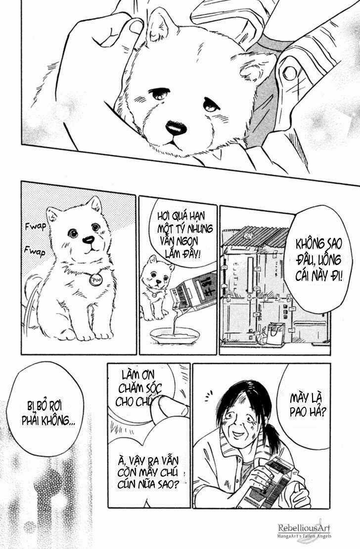 Deep Love - Pao no Monogatari Chapter 2 trang 19