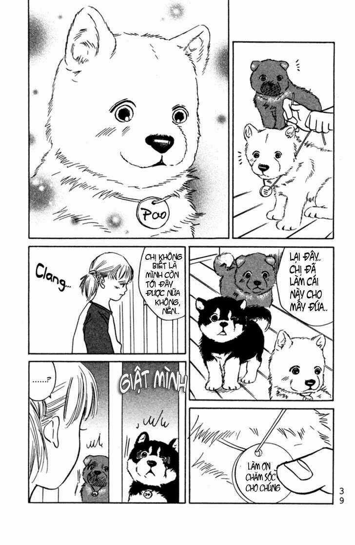 Deep Love - Pao no Monogatari Chapter 2 trang 8