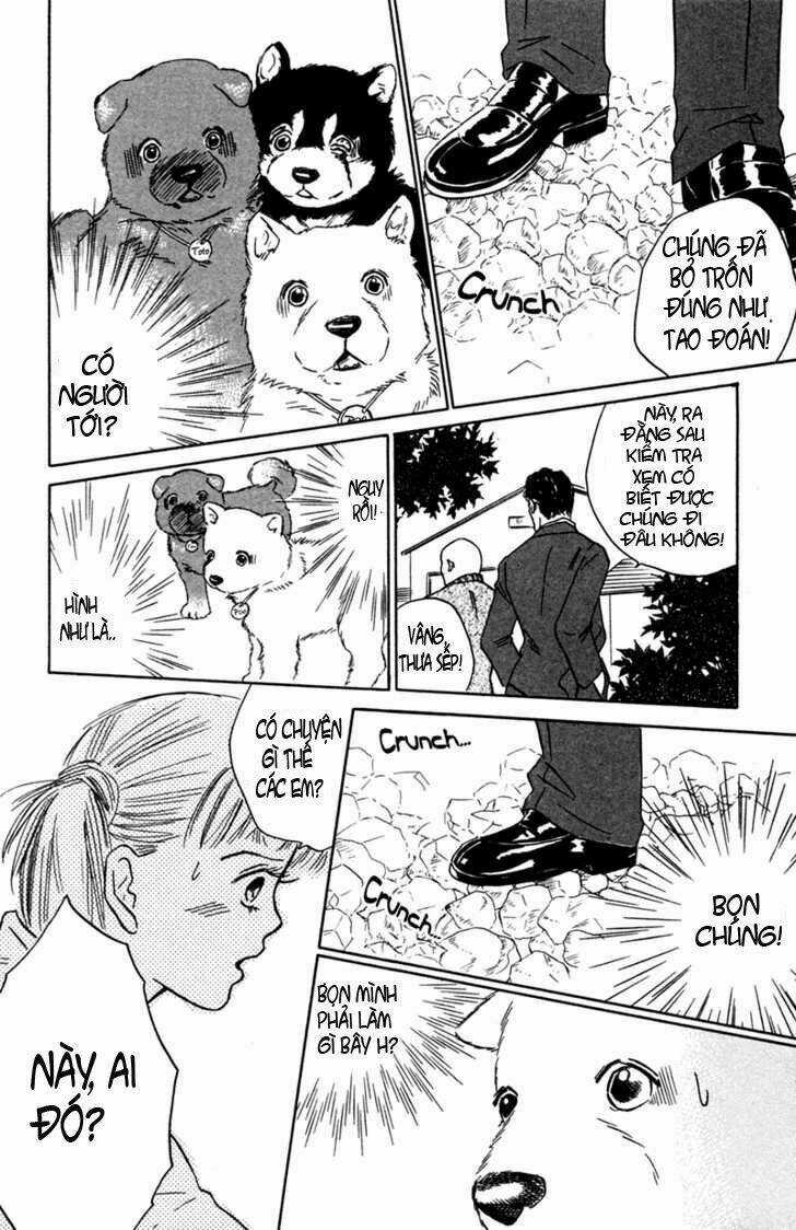 Deep Love - Pao no Monogatari Chapter 2 trang 9