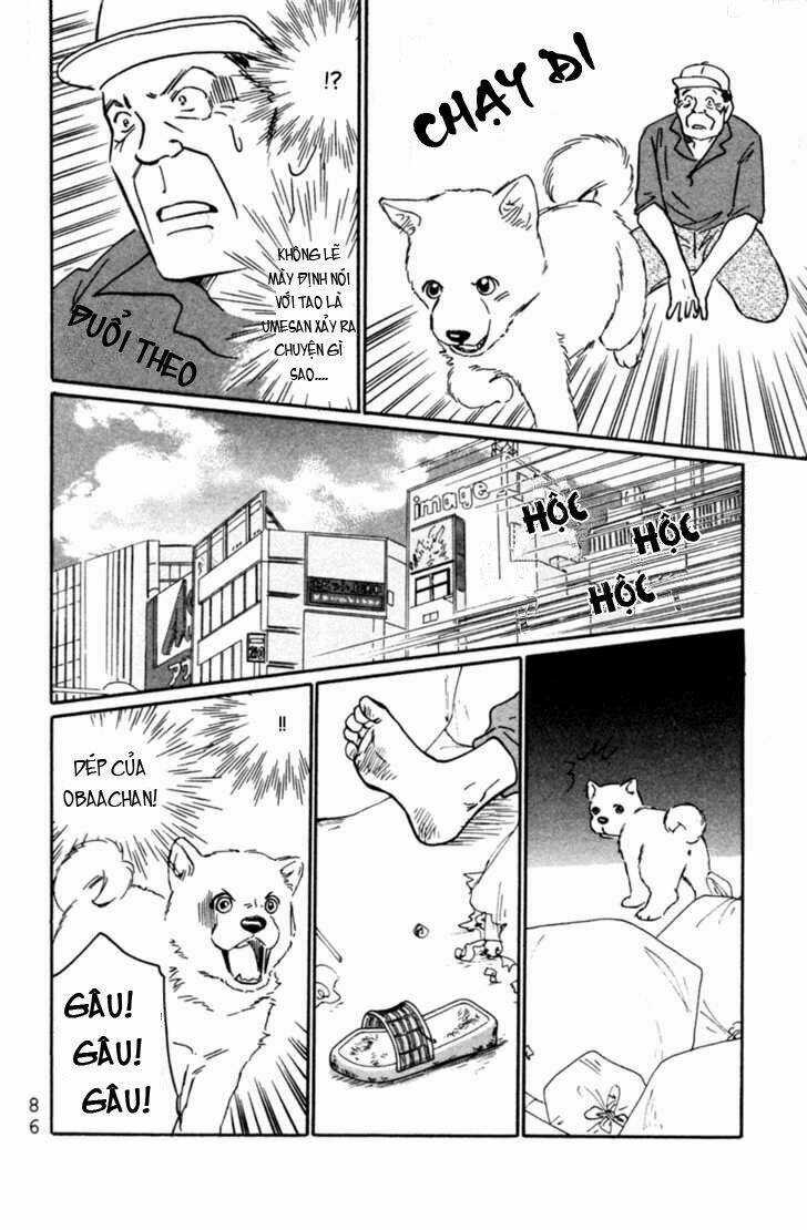 Deep Love - Pao no Monogatari Chapter 3 trang 15