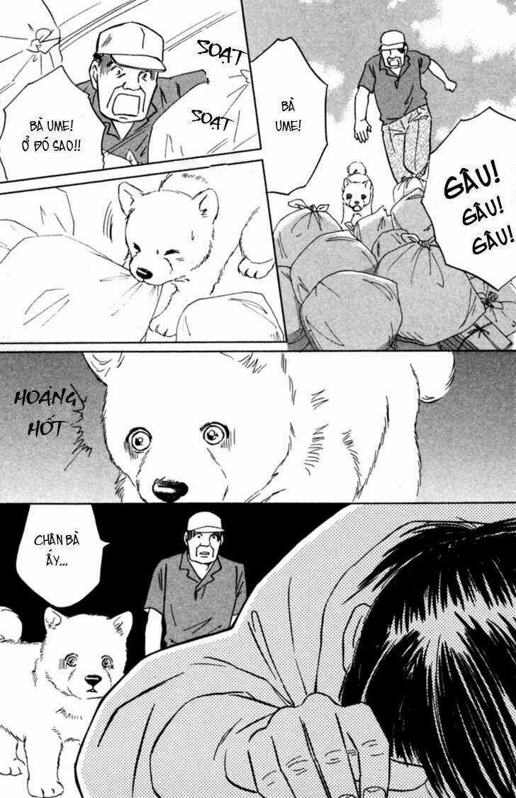 Deep Love - Pao no Monogatari Chapter 3 trang 16