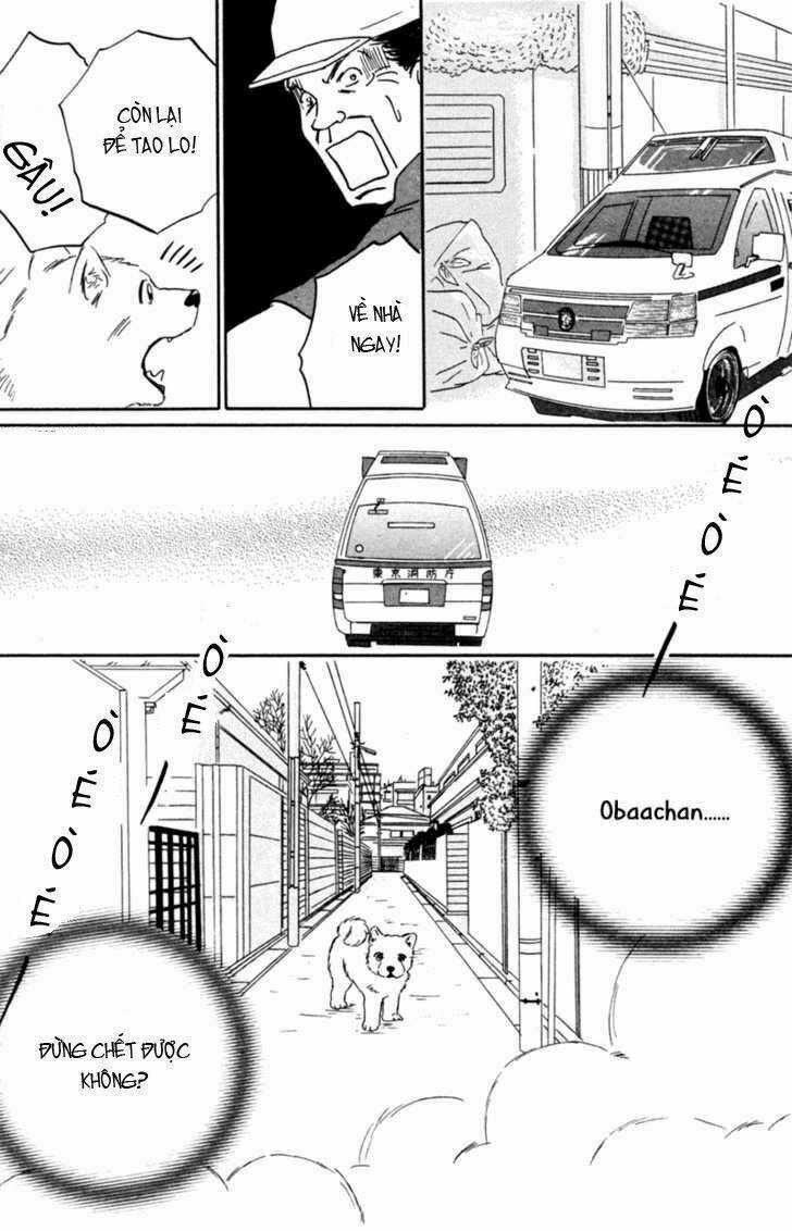 Deep Love - Pao no Monogatari Chapter 3 trang 18