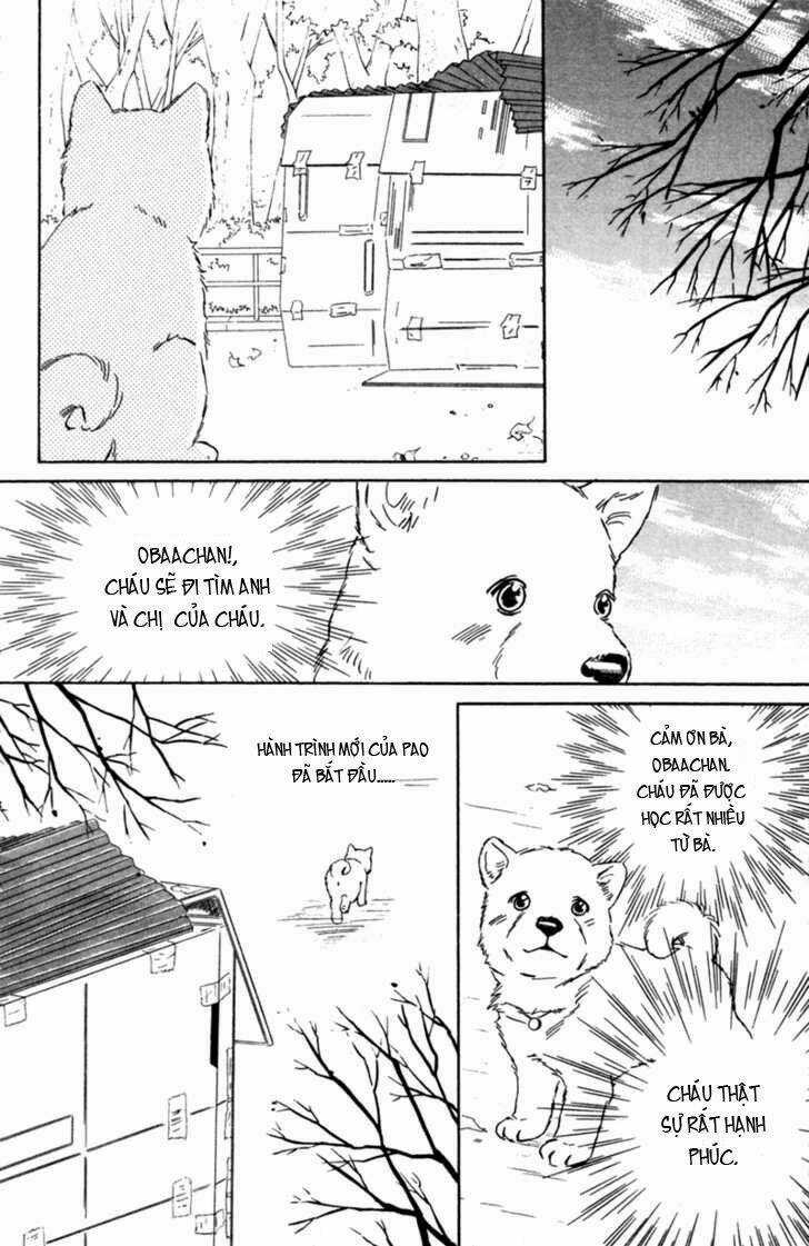 Deep Love - Pao no Monogatari Chapter 3 trang 33