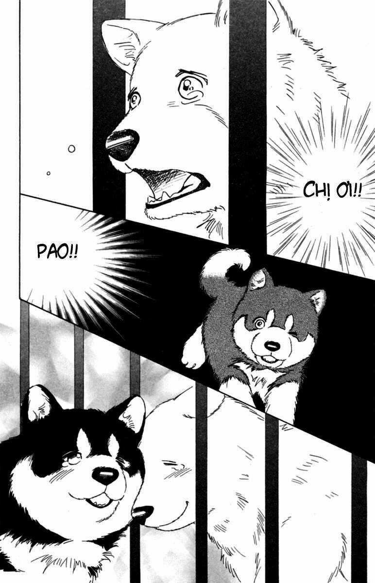 Deep Love - Pao no Monogatari Chapter 5 trang 12