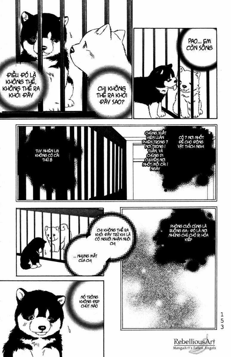 Deep Love - Pao no Monogatari Chapter 5 trang 13