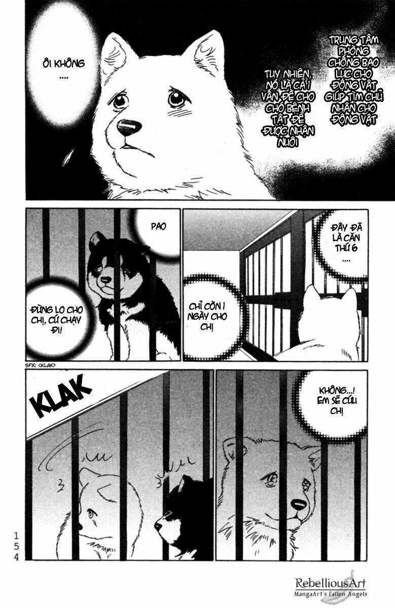 Deep Love - Pao no Monogatari Chapter 5 trang 14