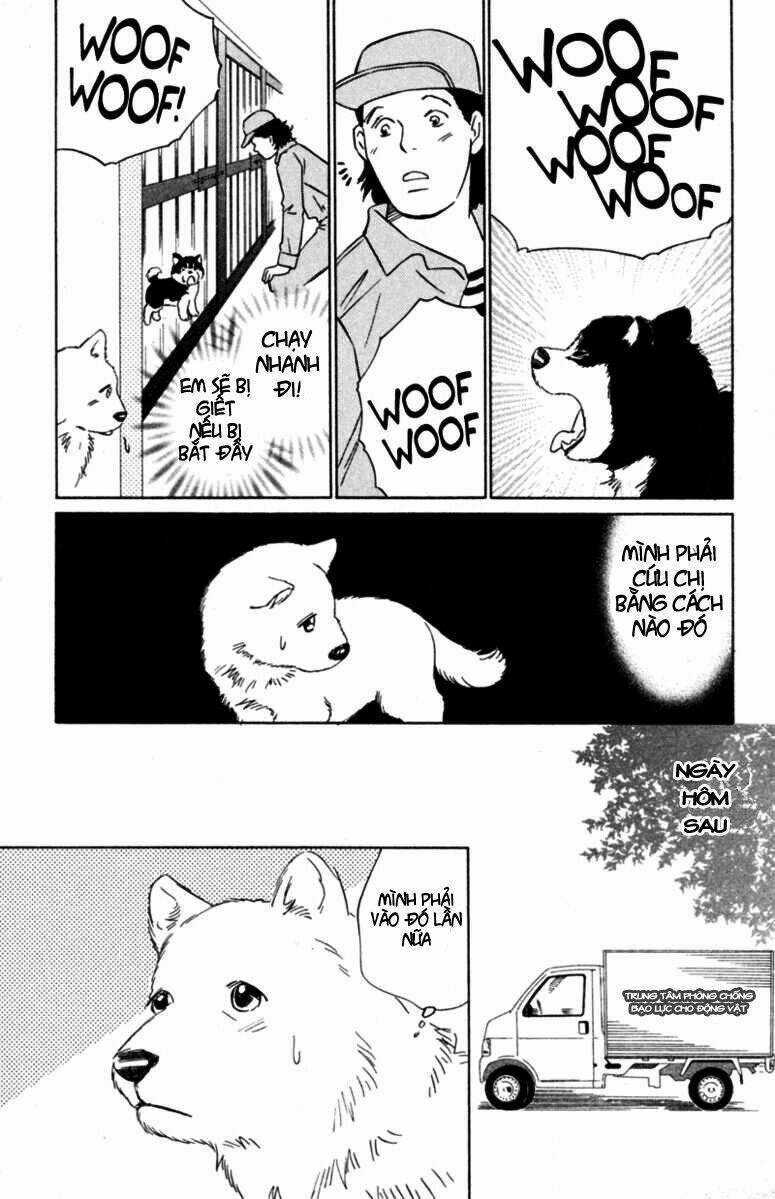 Deep Love - Pao no Monogatari Chapter 5 trang 15