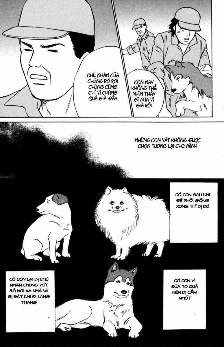 Deep Love - Pao no Monogatari Chapter 5 trang 17