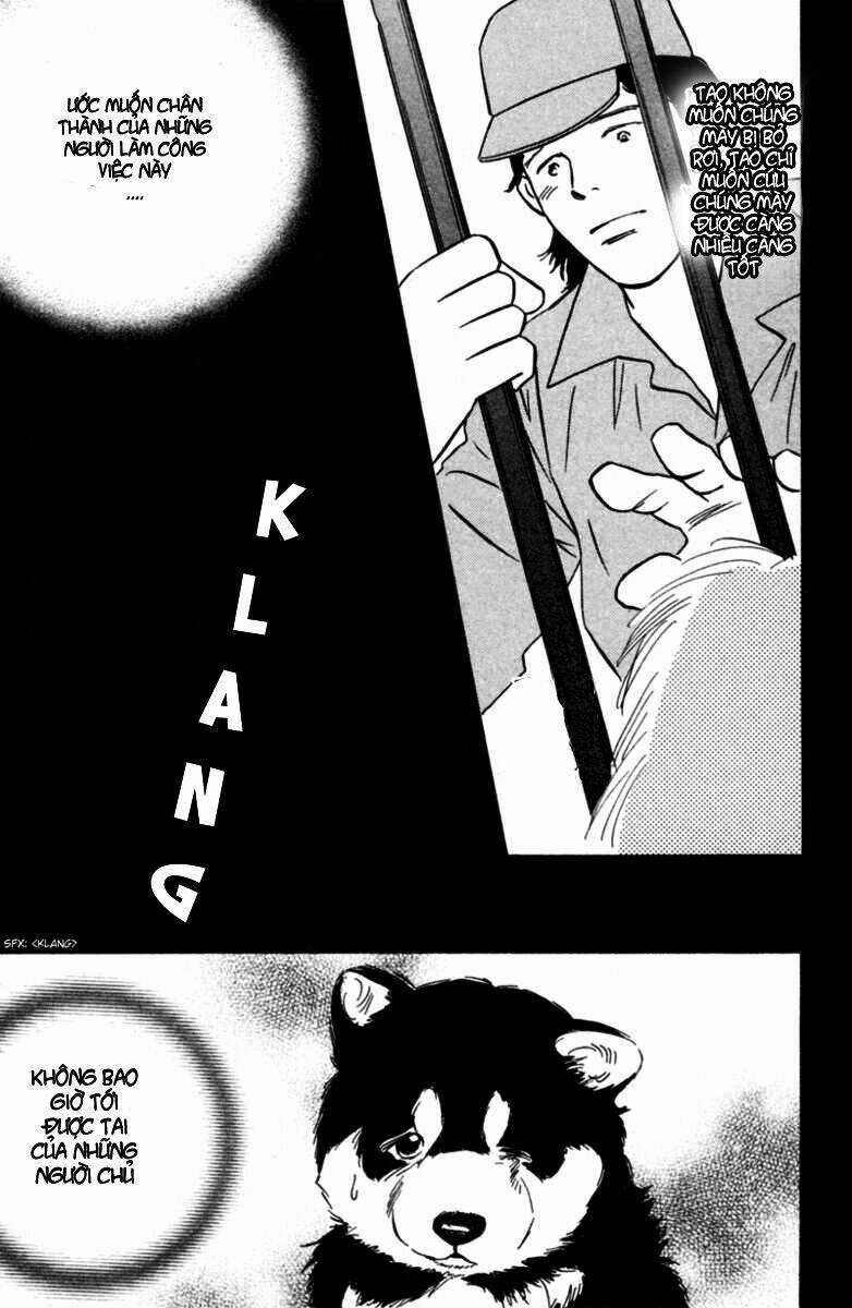 Deep Love - Pao no Monogatari Chapter 5 trang 19