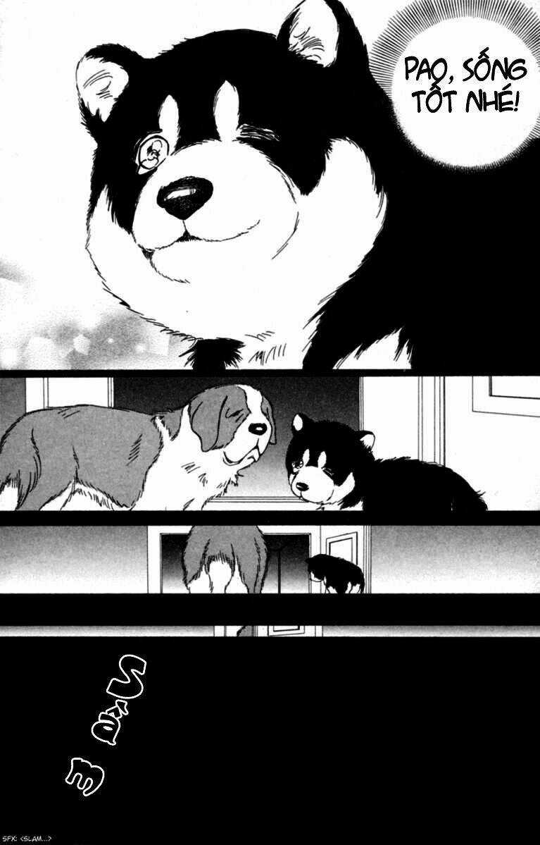 Deep Love - Pao no Monogatari Chapter 5 trang 24