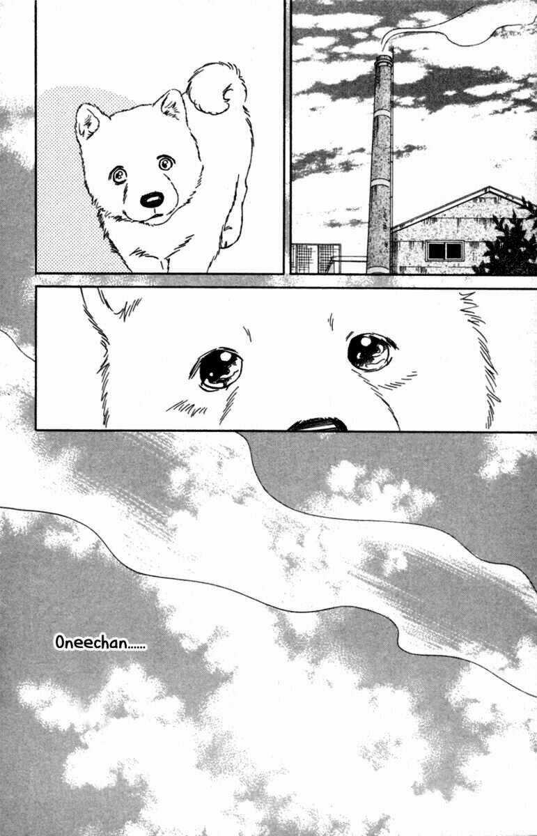 Deep Love - Pao no Monogatari Chapter 5 trang 28