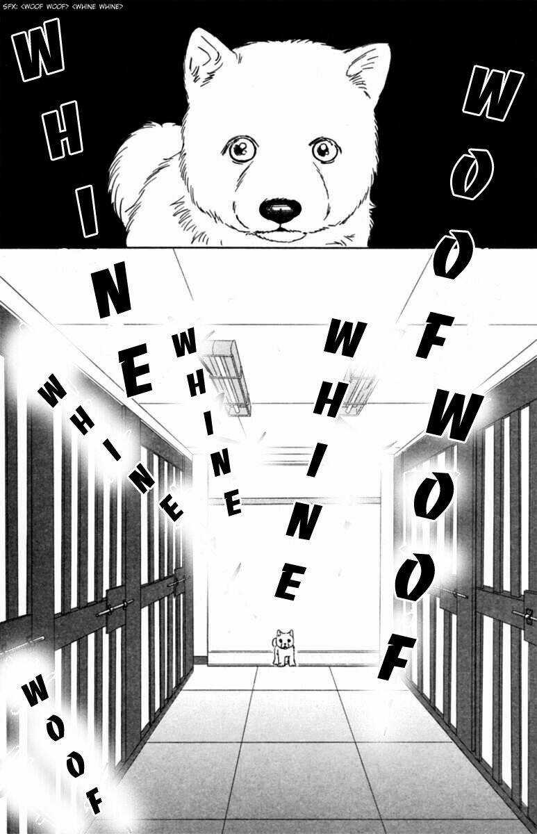 Deep Love - Pao no Monogatari Chapter 5 trang 9